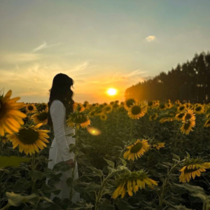 PARFUM SUNFLOWER 🌻 100G